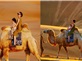 Tour Nội Mông 8N7Đ: Hà Nội - Sa Mạc Vọng Âm – Thảo Nguyên Ordos – Ngân Xuyên – Thủy Động Câu - Công Viên Lanshan - Phim Trường Phương Tây