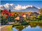 Hà Nội - Tokyo - Chiba - Thủy Cung Seawold Kamogawa - Narita - Lễ Hội Hoa Tulip