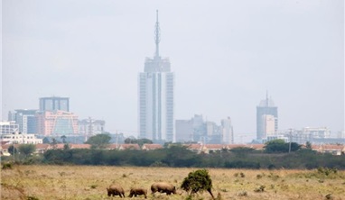 Tour Du Lịch Trung Đông & Safari Châu Phi Qatar - Kenya- Tanzania