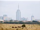Tour Du Lịch Trung Đông & Safari Châu Phi Qatar - Kenya- Tanzania