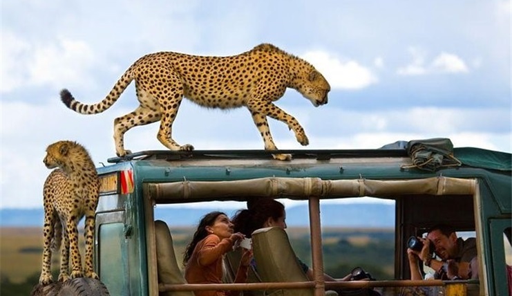 Tour Du Lịch Trung Đông & Safari Châu Phi Qatar - Kenya- Tanzania