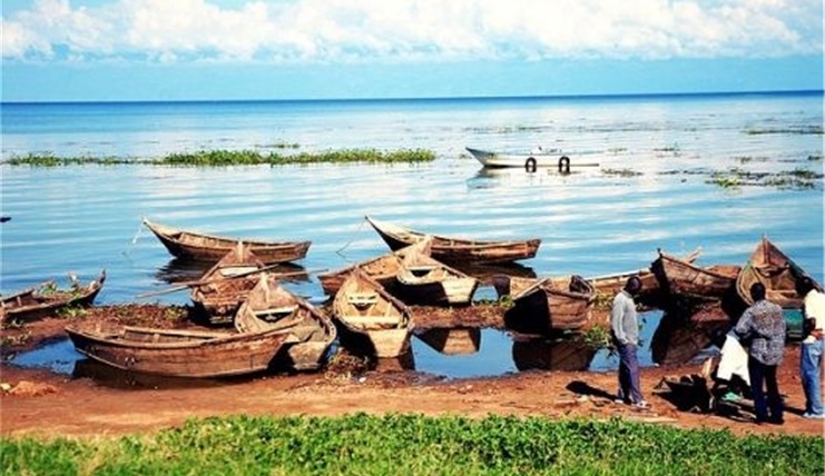 Tour Du Lịch Trung Đông & Safari Châu Phi Qatar - Kenya- Tanzania