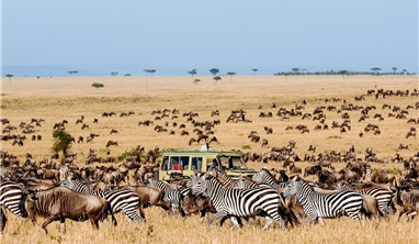 Tour Du Lịch Trung Đông & Safari Châu Phi Qatar - Kenya- Tanzania