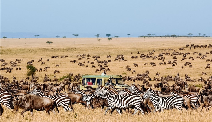 Tour Du Lịch Trung Đông & Safari Châu Phi Qatar - Kenya- Tanzania