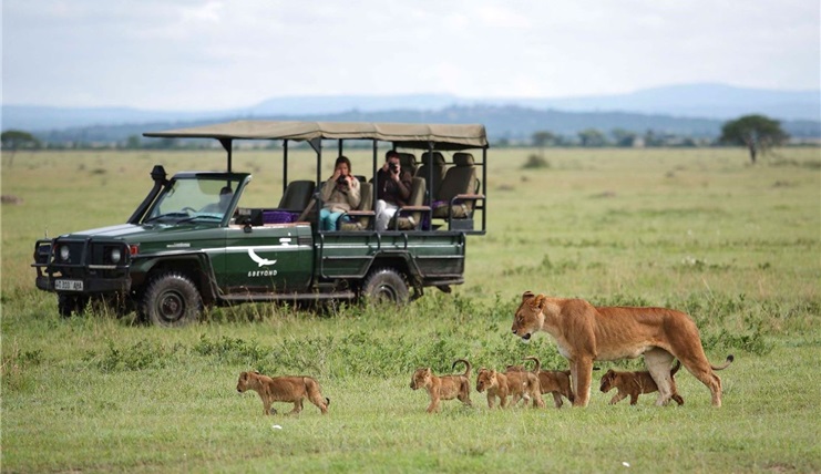 Tour Du Lịch Trung Đông & Safari Châu Phi Qatar - Kenya- Tanzania