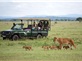 Tour Du Lịch Trung Đông & Safari Châu Phi Qatar - Kenya- Tanzania