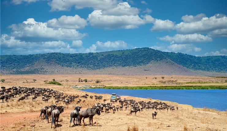 Tour Du Lịch Trung Đông & Safari Châu Phi Qatar - Kenya- Tanzania