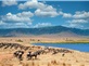 Tour Du Lịch Trung Đông & Safari Châu Phi Qatar - Kenya- Tanzania