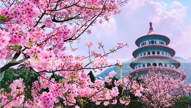 Tour Đài Loan: Cao Hùng - Đài Trung - Nam Đầu - Đài Bắc