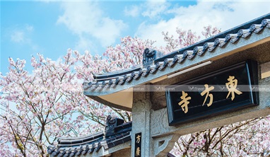 Tour Đài Loan Tết 2023: Cao Hùng - Đài Trung - Nam Đầu - Đài Bắc