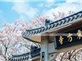 Tour Đài Loan Tết 2023: Cao Hùng - Đài Trung - Nam Đầu - Đài Bắc