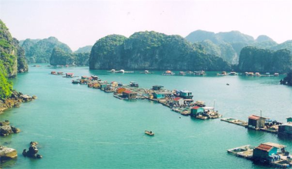 CÁT BÀ - VỊNH LAN HẠ