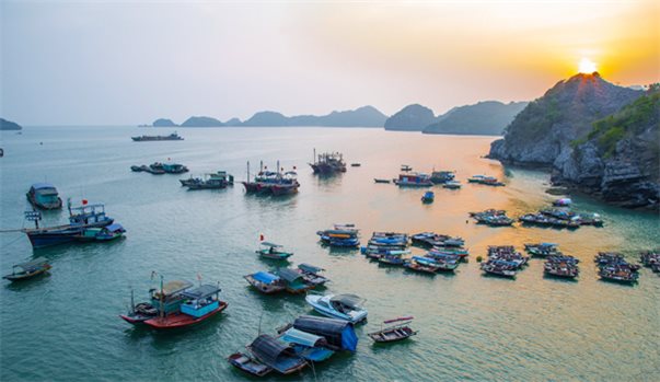 CÁT BÀ - VỊNH LAN HẠ