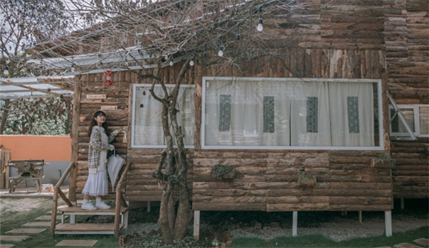 THE NOVEMBER HOME