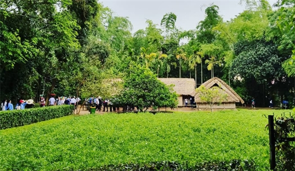 BIỂN CỬA LÒ - QUÊ BÁC LÀNG SEN