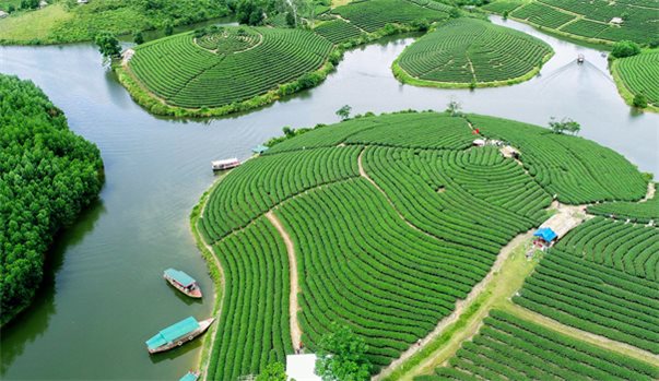 ĐỒI CHÈ THANH CHƯƠNG - VƯỜN QUỐC GIA PÙ MÁT