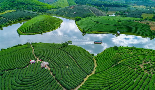 ĐỒI CHÈ THANH CHƯƠNG - VƯỜN QUỐC GIA PÙ MÁT