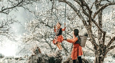 Tour du lịch Hà Nội - Bắc Hà 2 ngày 1 đêm