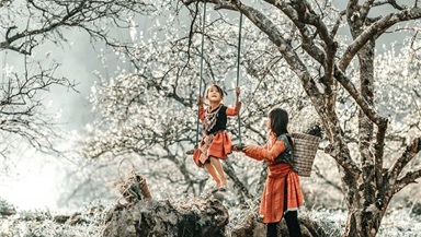 Tour du lịch Hà Nội - Bắc Hà 2 ngày 1 đêm