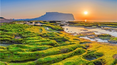 Hà Nội - Seoul - Jeju - Nami - Công viên giải trí Everland