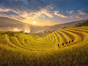 Tour Mù Cang Chải Mùa Lúa Chín 2N1Đ