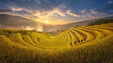 Tour du lịch Mù Cang Chải Mùa Lúa Chín