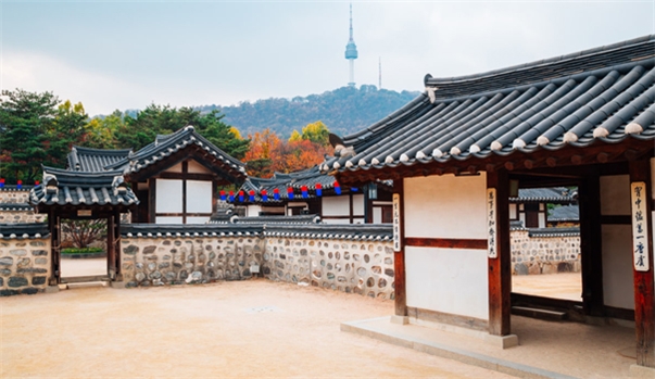 SEOUL - NAMI - EVERLAND - CÔNG VIÊN YEOUIDO