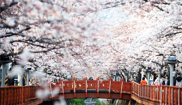 SEOUL - NAMI - EVERLAND - CÔNG VIÊN YEOUIDO