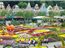 SEOUL - NAMI - EVERLAND - CÔNG VIÊN YEOUIDO