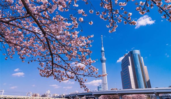 KOBE - OSAKA - KYOTO - PHÚ SĨ - TOKYO
