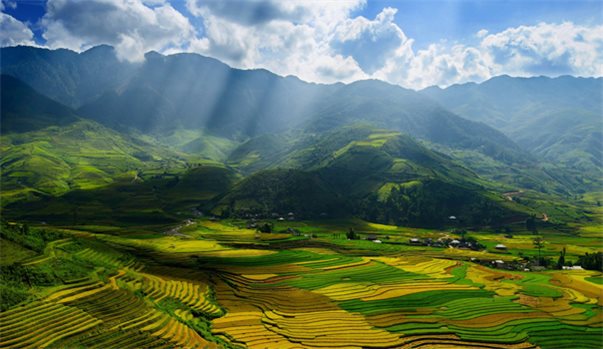 HÀ NỘI - MÙ CANG CHẢI - TÚ LỆ - SUỐI GIÀNG