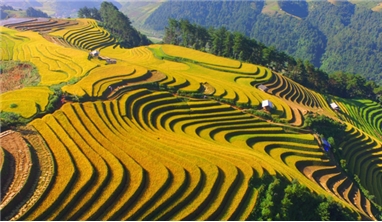 MÙ CANG CHẢI - SUỐI KHOÁNG NGỌC CHIẾN