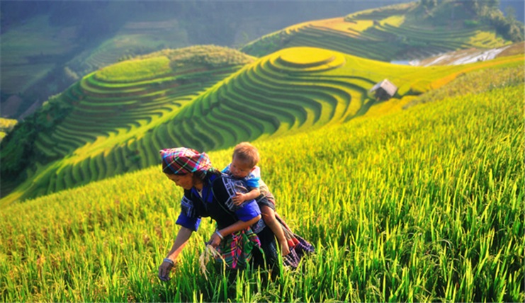 MÙ CANG CHẢI - SUỐI KHOÁNG NGỌC CHIẾN