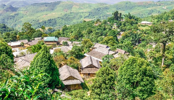 HÀ NỘI - MÙ CANG CHẢI - TÚ LỆ - SUỐI GIÀNG