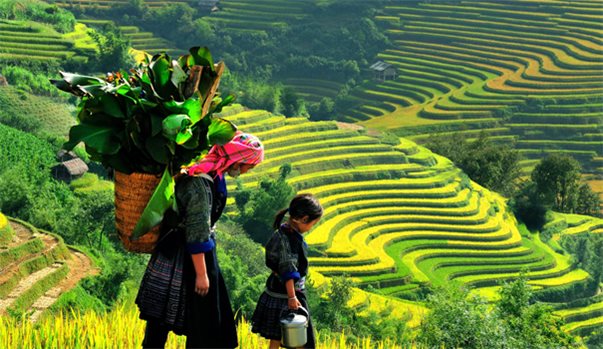MÙ CANG CHẢI - SUỐI KHOÁNG NGỌC CHIẾN