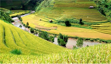 MÙ CANG CHẢI - SUỐI KHOÁNG NGỌC CHIẾN