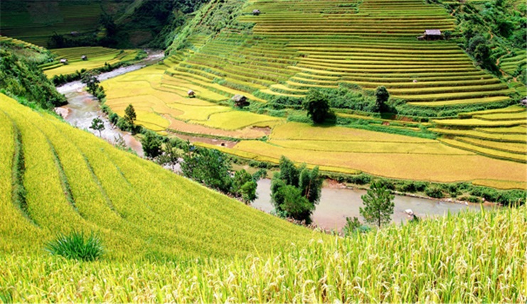 MÙ CANG CHẢI - SUỐI KHOÁNG NGỌC CHIẾN