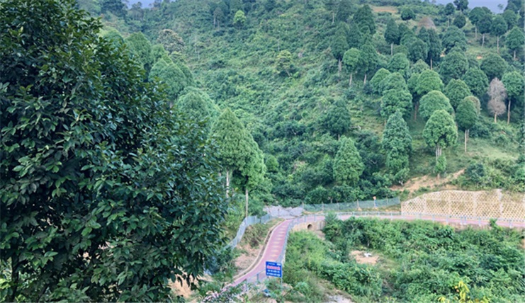 HÀ NỘI - MÙ CANG CHẢI - TÚ LỆ - SUỐI GIÀNG