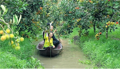 CÀ MAU - BẠC LIÊU - SÓC TRĂNG - CẦN THƠ