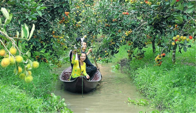 CÀ MAU - BẠC LIÊU - SÓC TRĂNG - CẦN THƠ