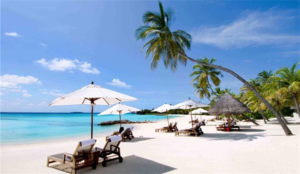 NHA TRANG - ĐÀ LẠT