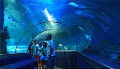 NHA TRANG - ĐÀ LẠT