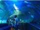 NHA TRANG - ĐÀ LẠT