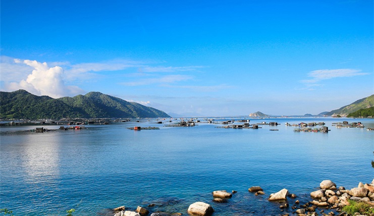 Tour kích cầu Quy Nhơn - Tuy Hòa 2020
