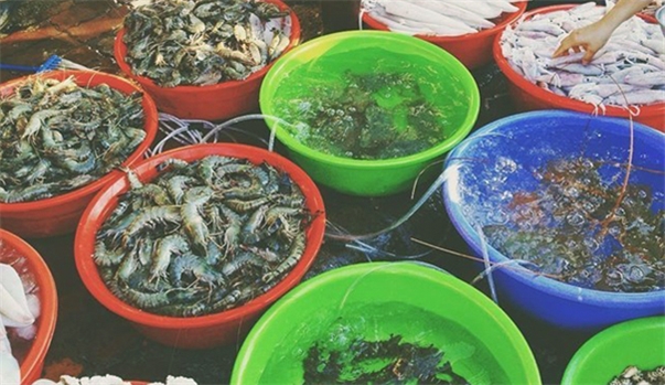 Chợ hải sản