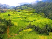 Vườn quốc gia Hoàng Liên