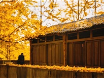 Đằng Xung - Vân Nam - Thành phố hổ phách của Trung Hoa.