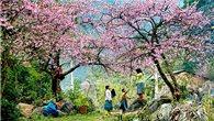 Tour du lịch Hà Nội - Săn mây Tà Xùa 2 ngày 1 đêm